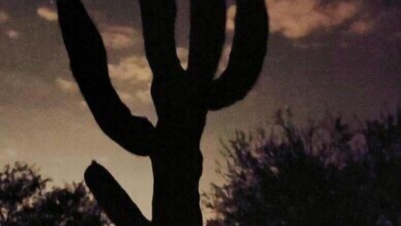 Photo of Others in Tanque Verde