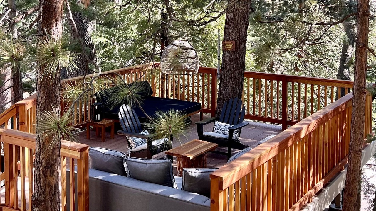 Photo of Outdoor in Blue Jay