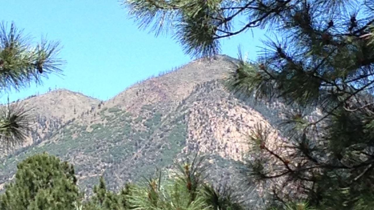 Photo of Others in Flagstaff