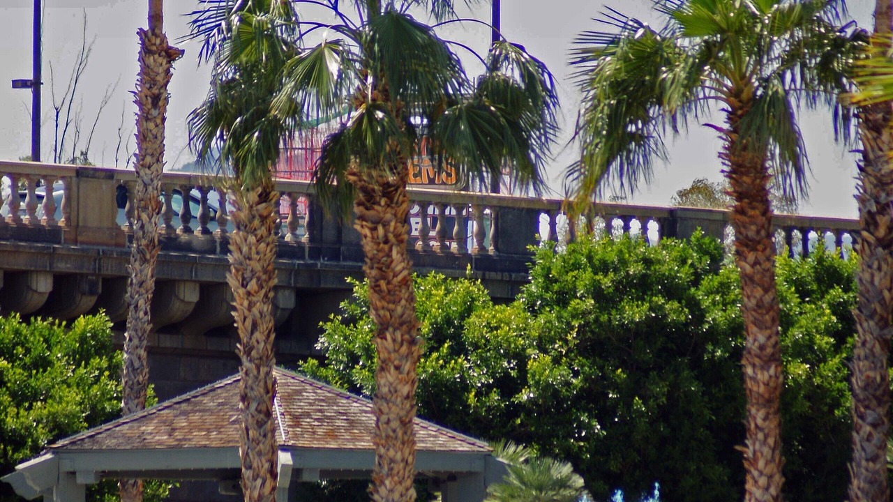 Photo of Outdoor in Lake Havasu City