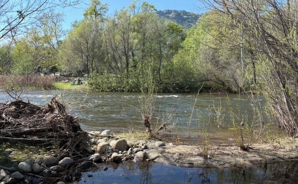 Photo of Others in Three Rivers
