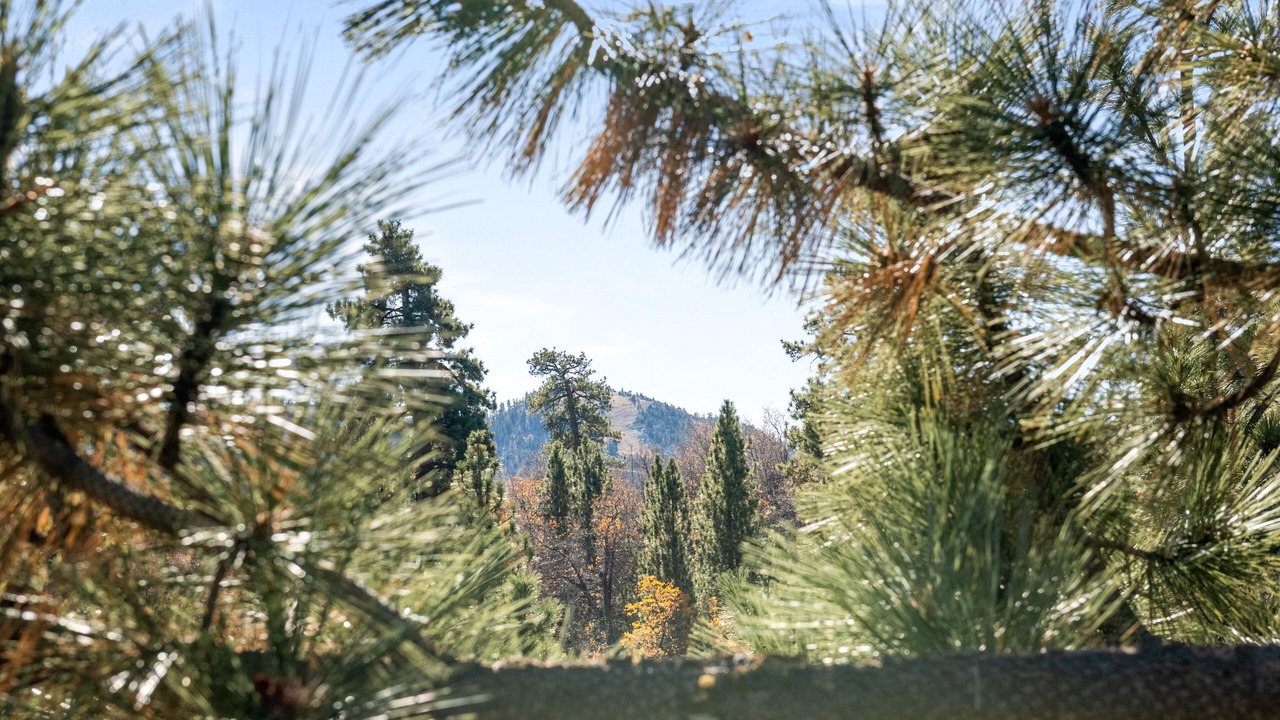 Photo of Others in Upper Moonridge