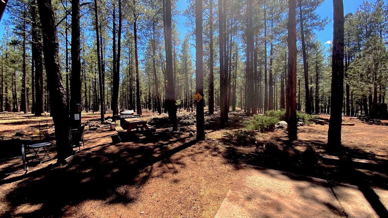 Photo of Others in Parks