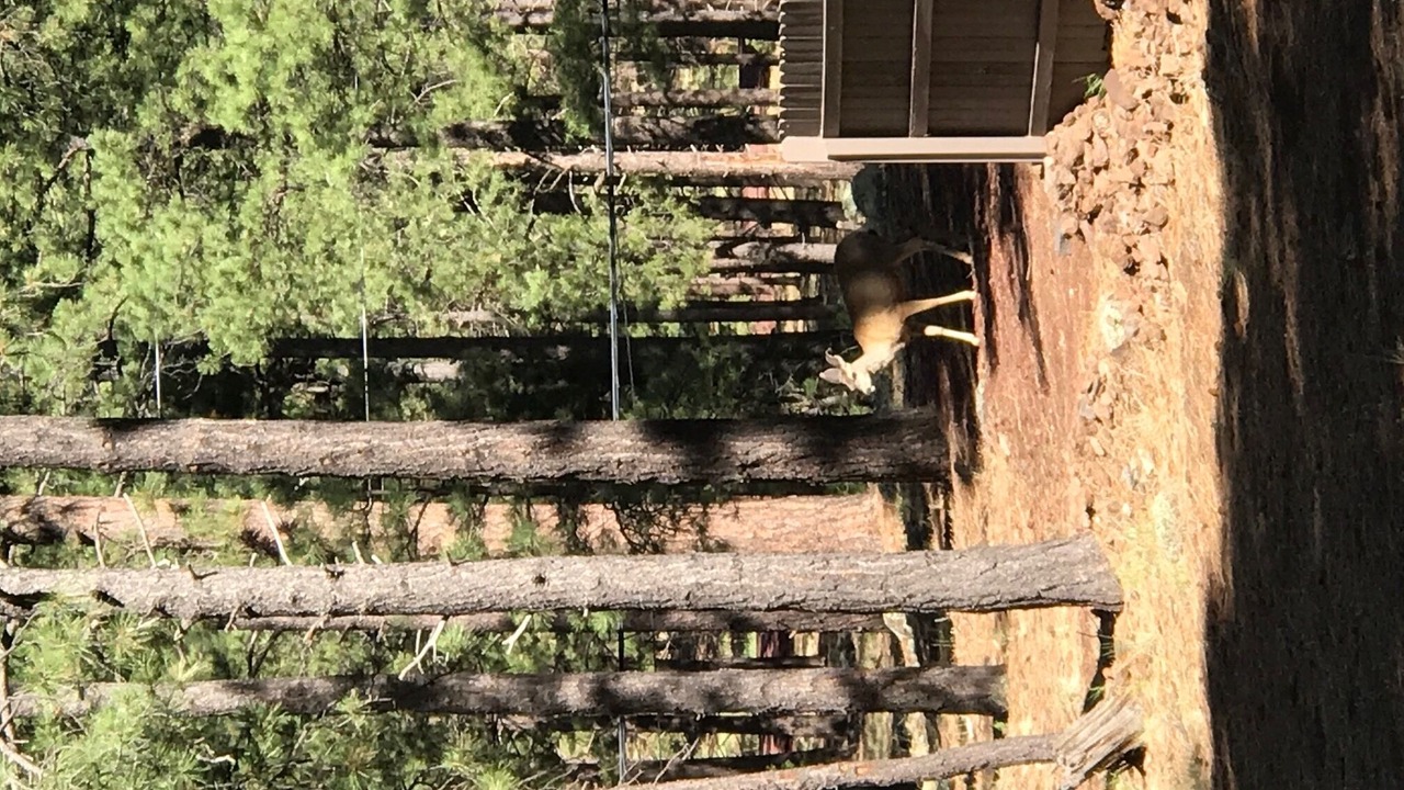 Photo of Outdoor in Parks