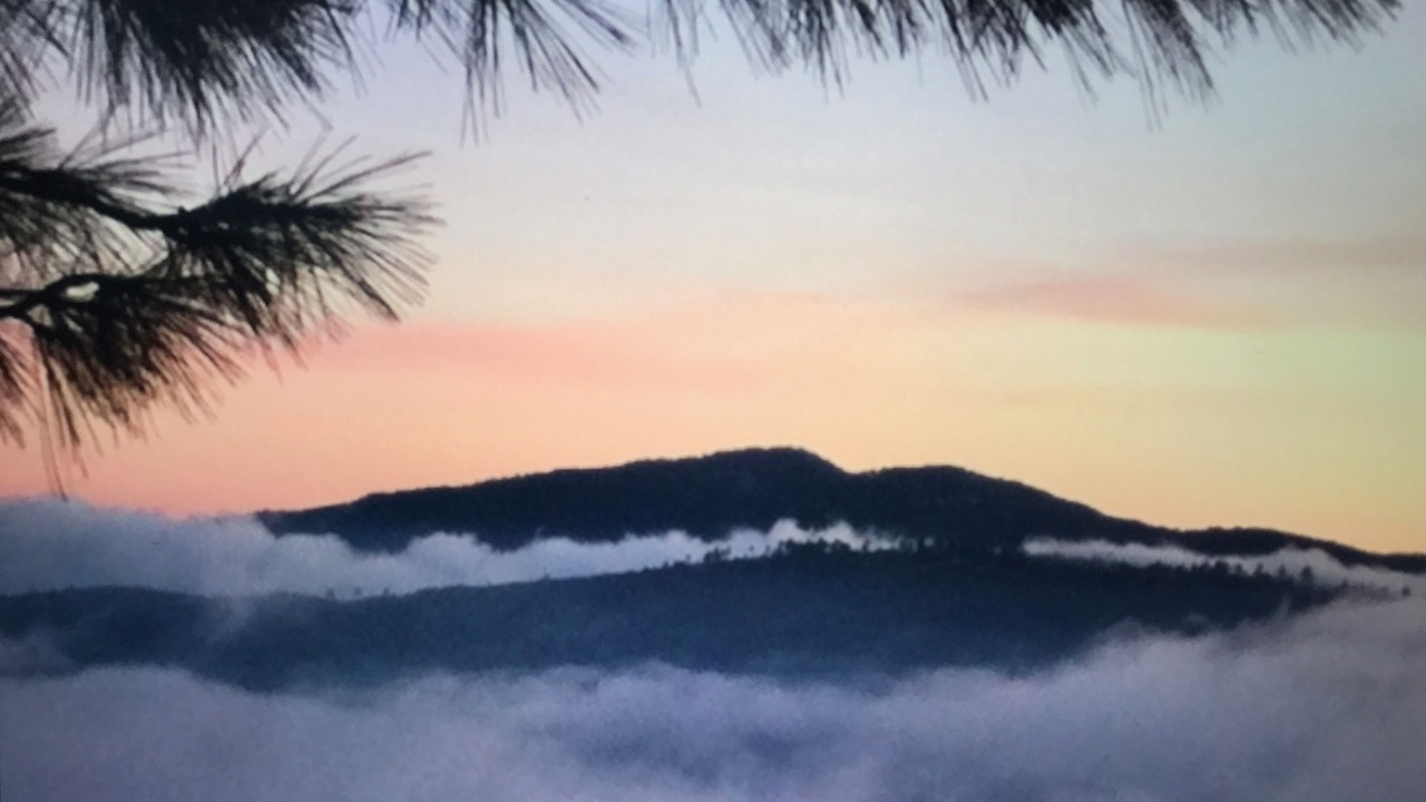 Photo of Others in Idyllwild