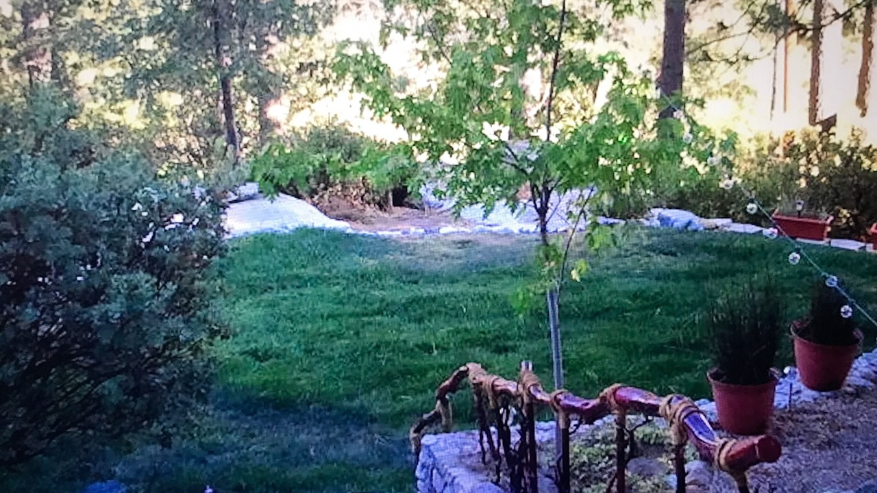 Photo of Others in Idyllwild