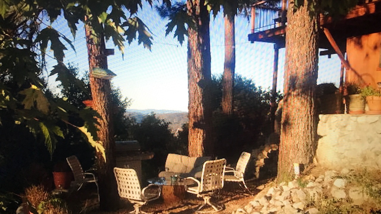 Photo of Others in Idyllwild