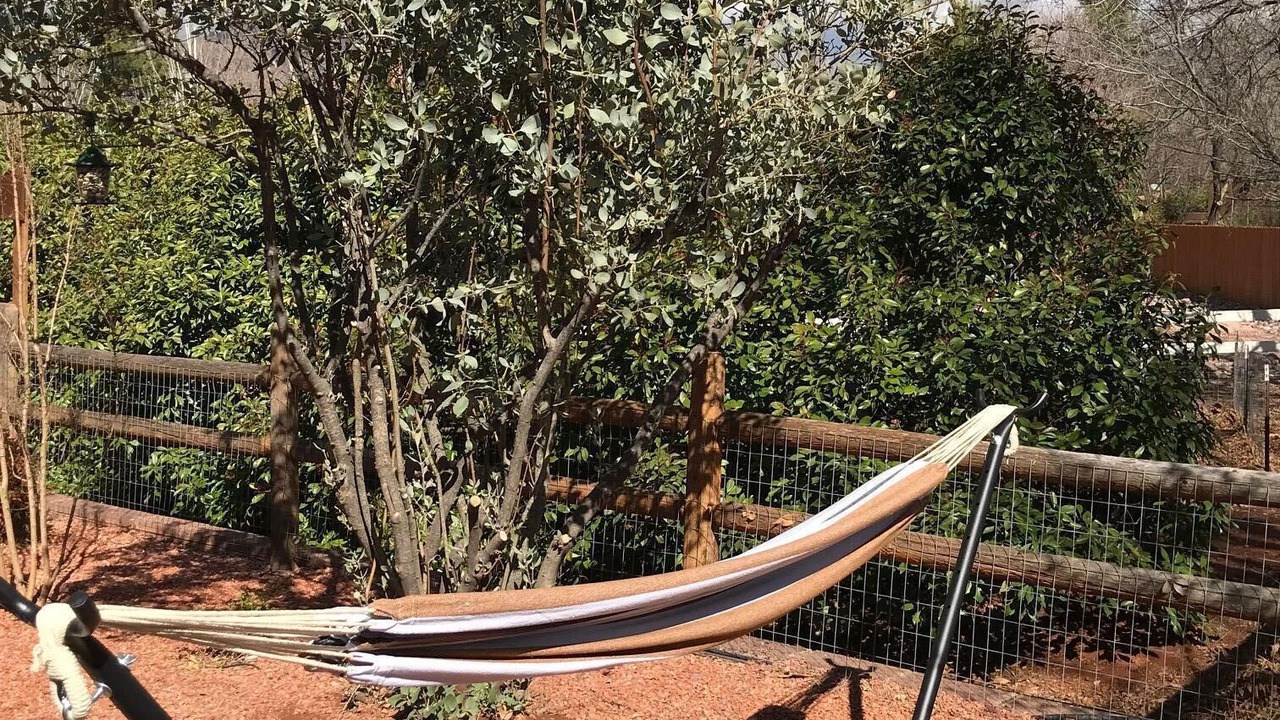Photo of Others in West Sedona