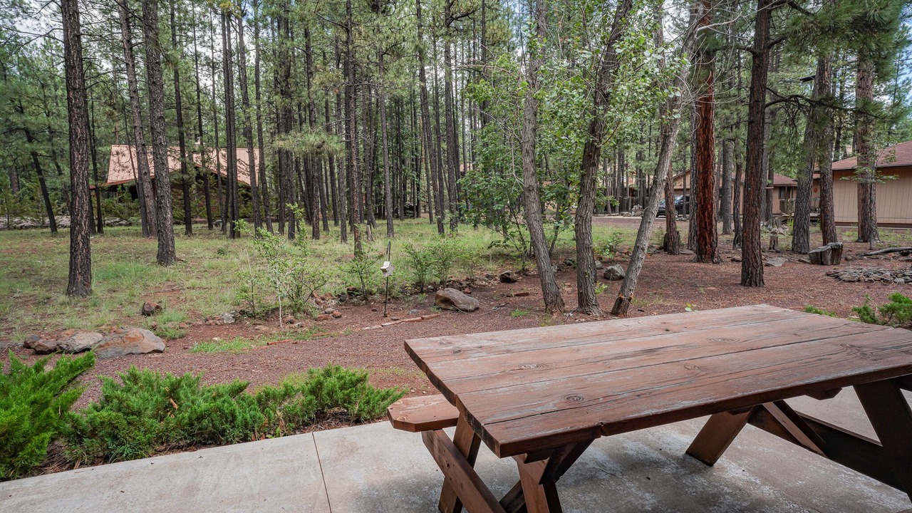 Photo of Outdoor in Pinetop