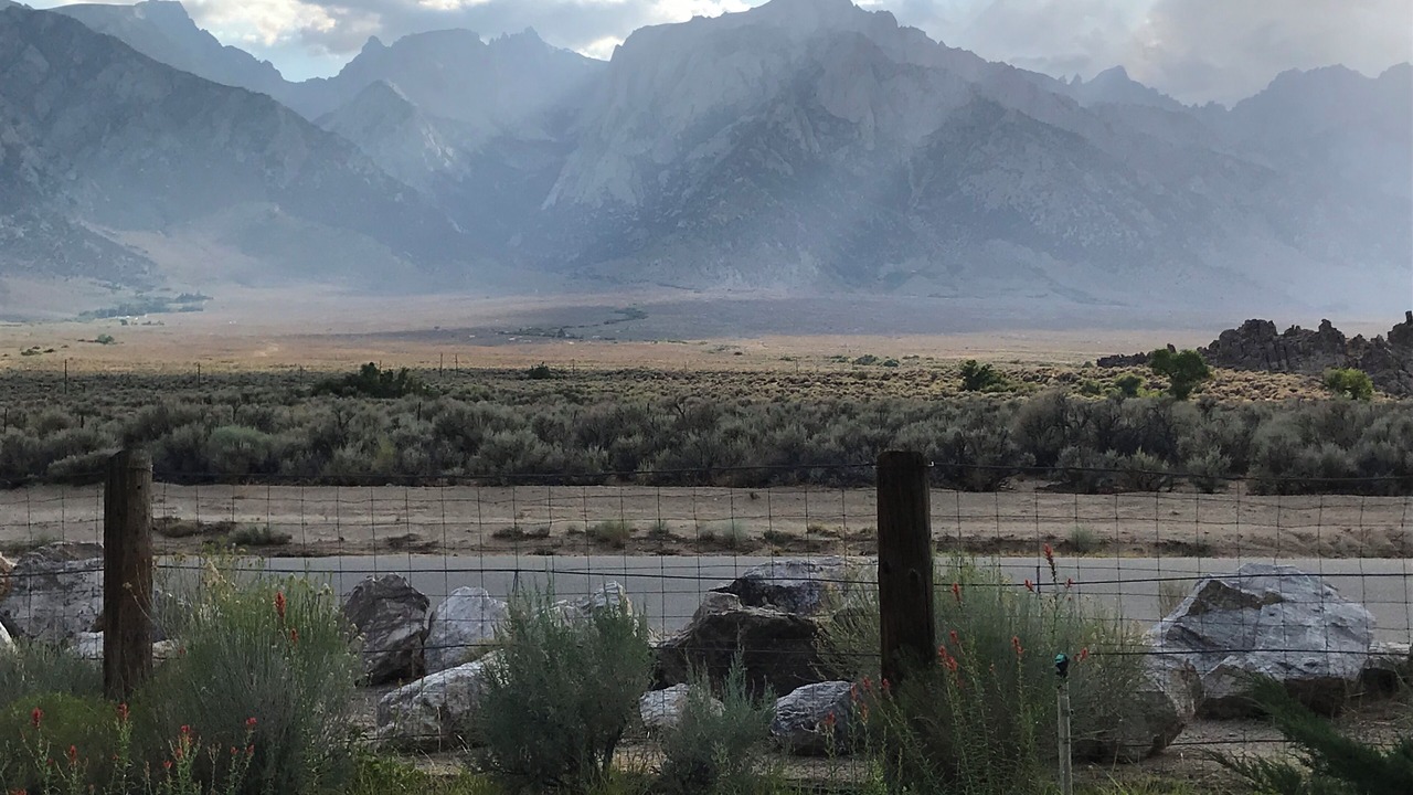 Photo of Others in Lone Pine