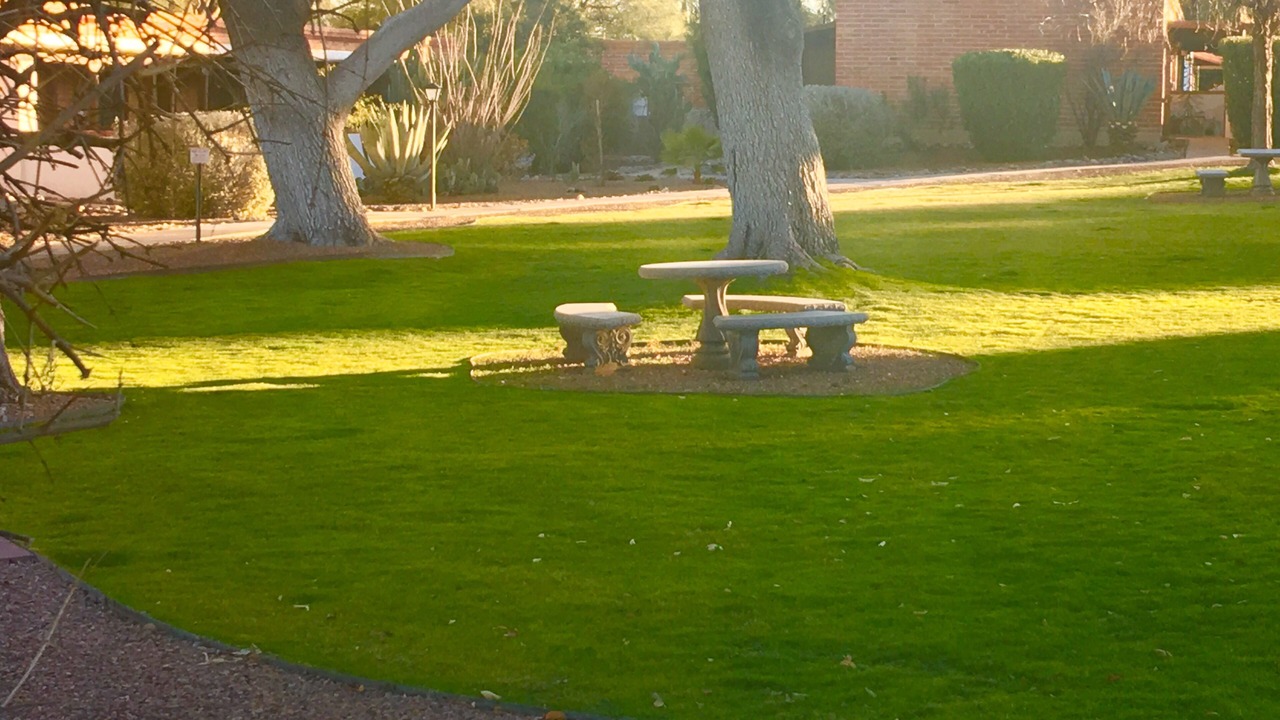 Photo of Others in Green Valley