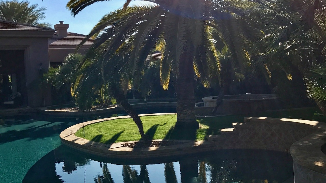 Photo of Others in Cactus Acres
