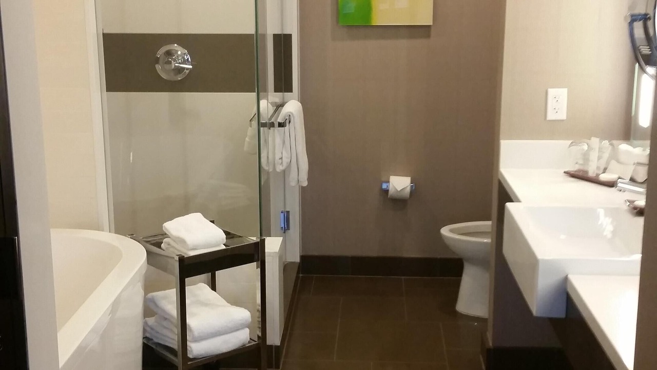Photo of Bathroom in Las Vegas Strip