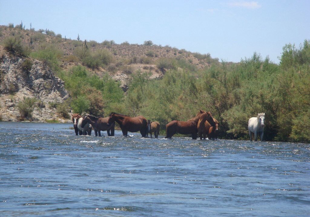 Photo of Others in Golden Springs