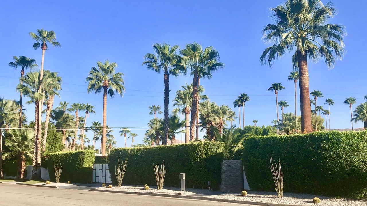 Photo of Others in Tahquitz River Estates