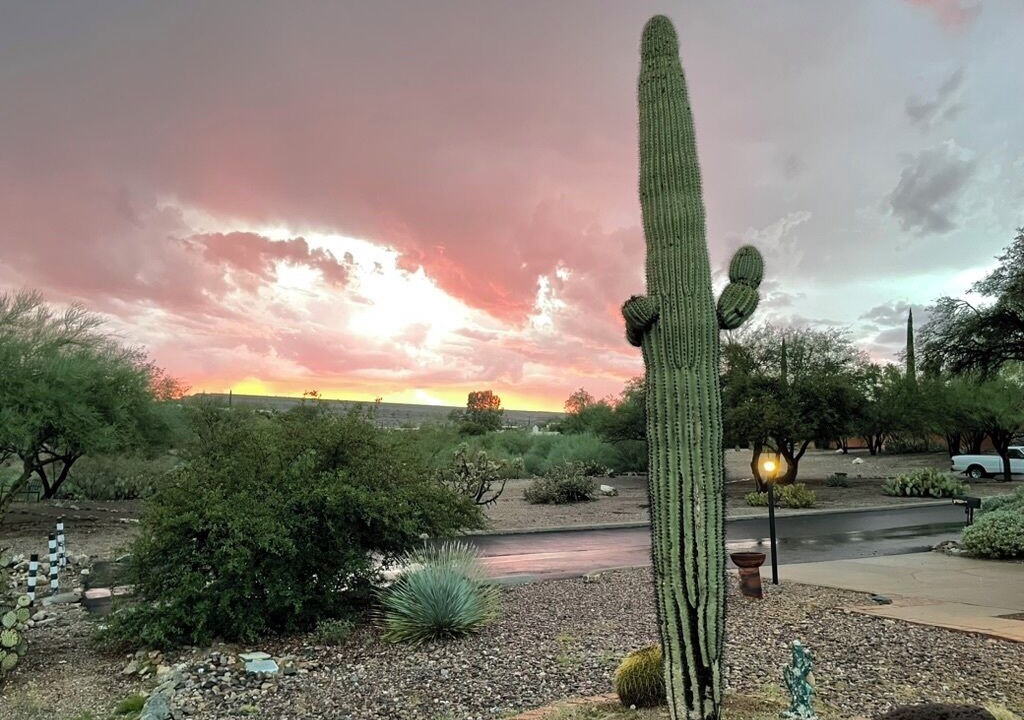 Photo of Others in Desert Hills Estates