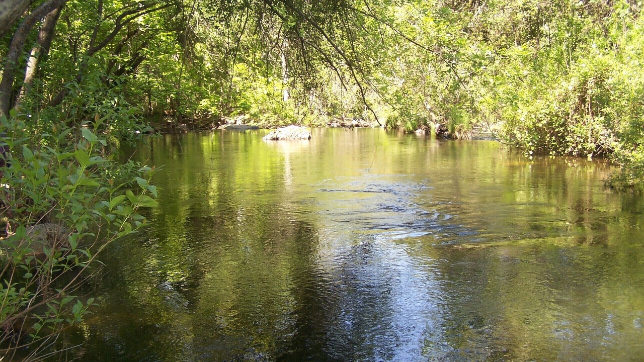 Photo of Others in Kaweah