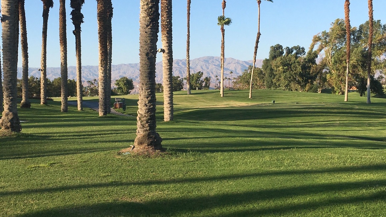 Photo of Others in Palm Desert
