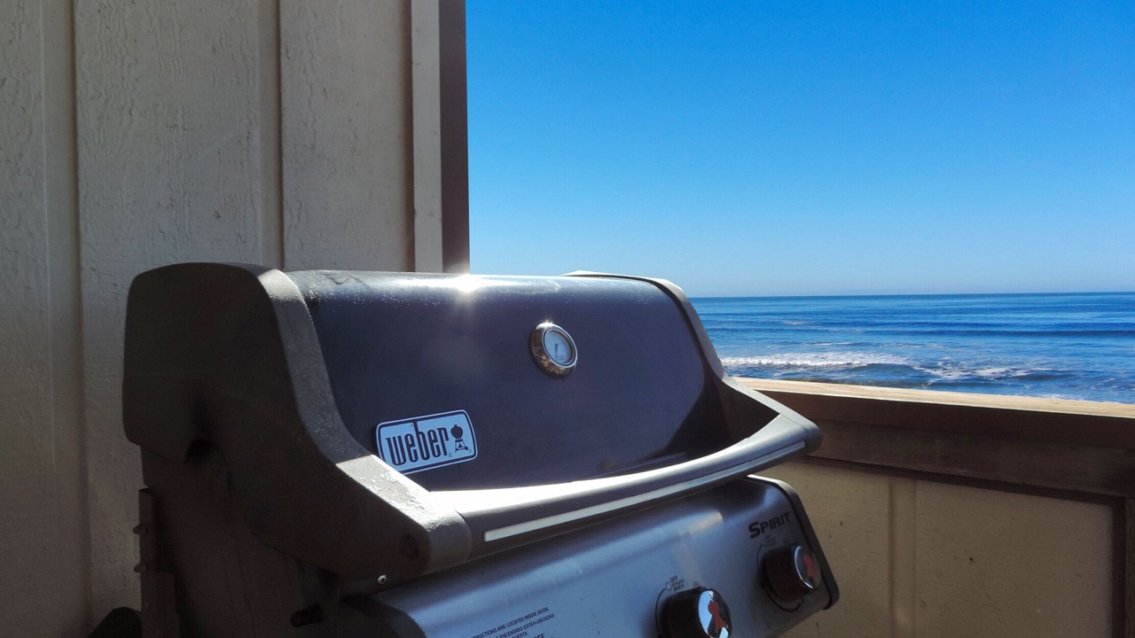 Photo of Others in La Selva Beach