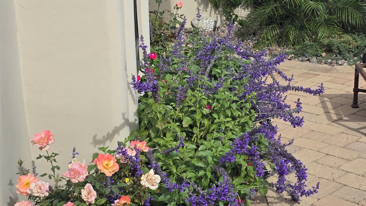 Photo of Outdoor in La Quinta