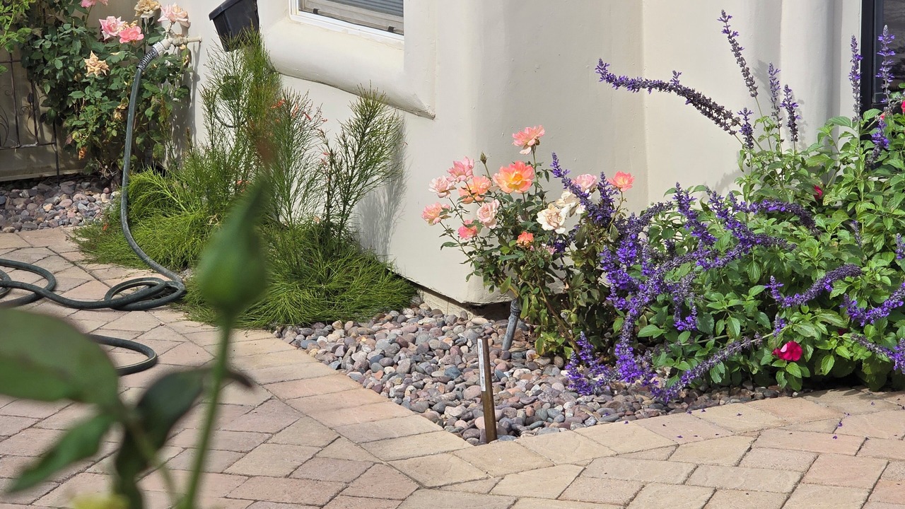 Photo of Outdoor in La Quinta