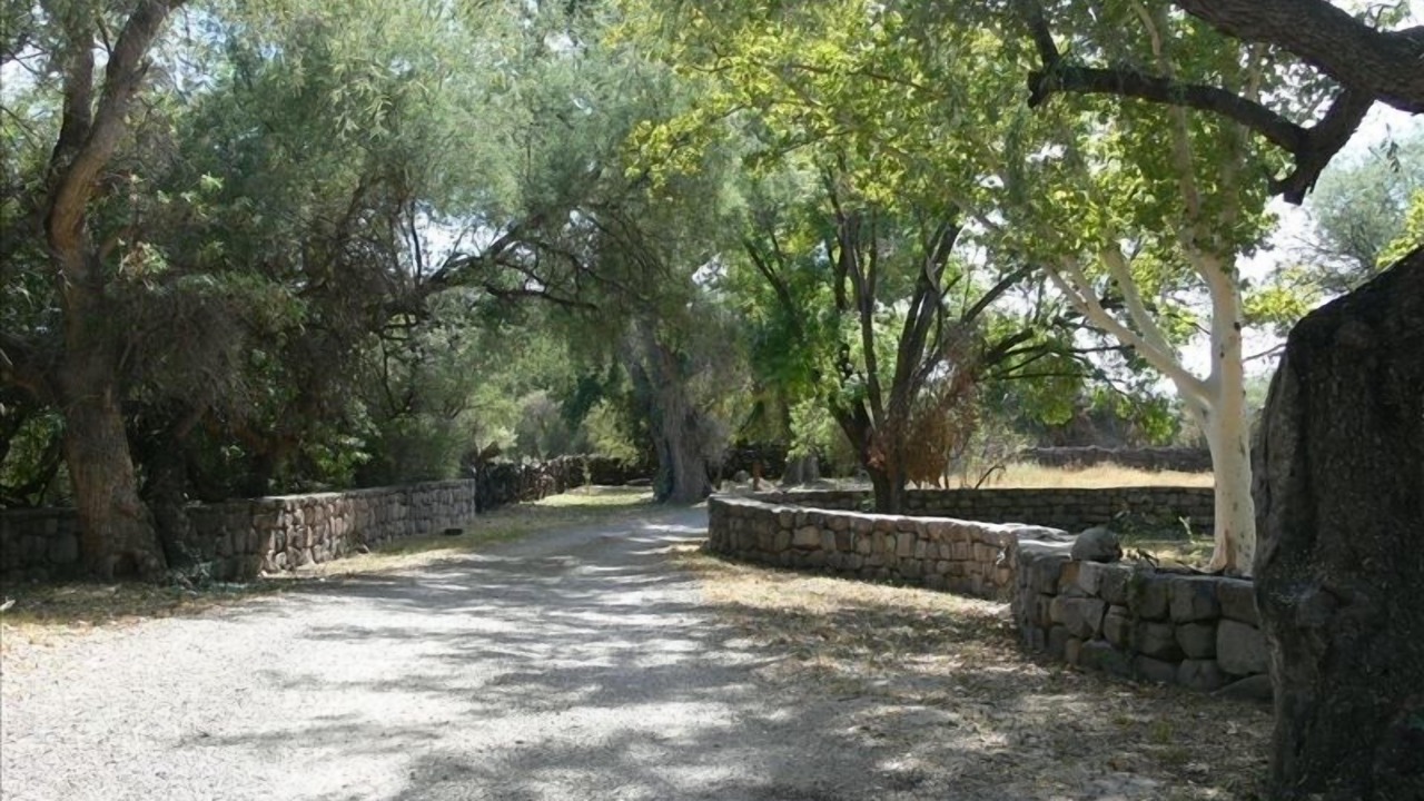 Photo of Others in Tumacacori-Carmen