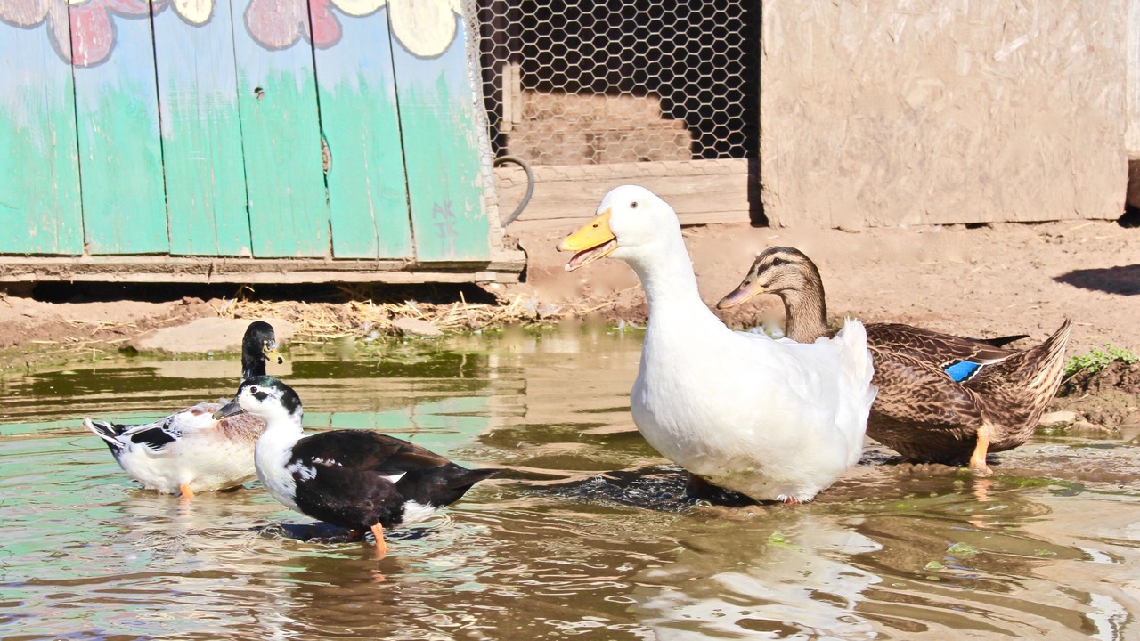 Photo of Others in Callender