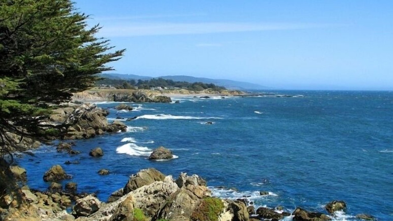 Photo of Others in Sea Ranch