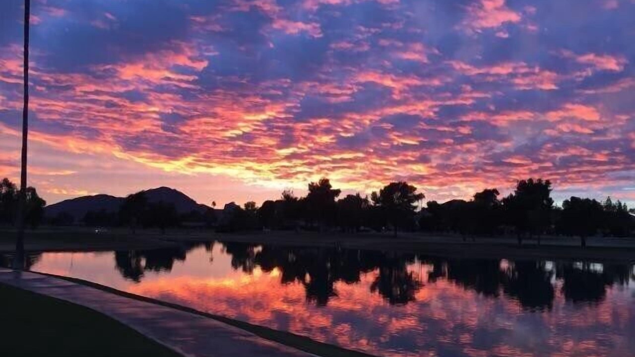 Photo of Others in South Scottsdale