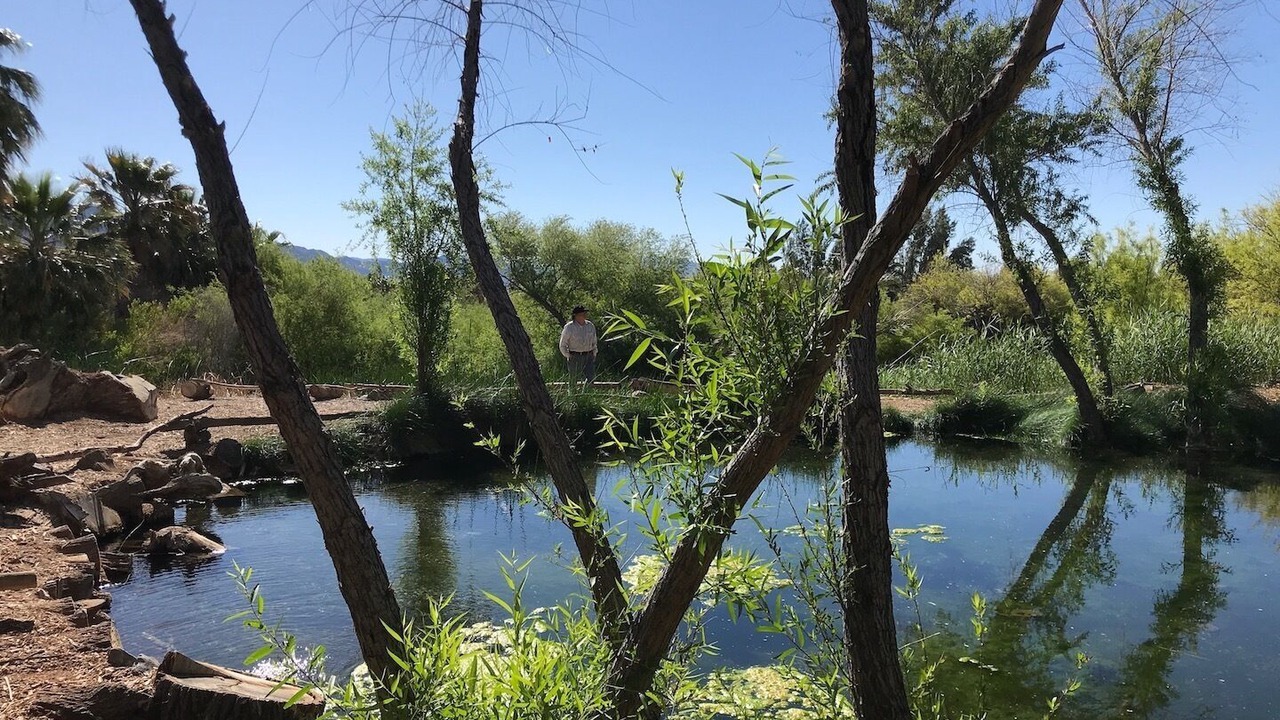 Photo of Others in Shoshone