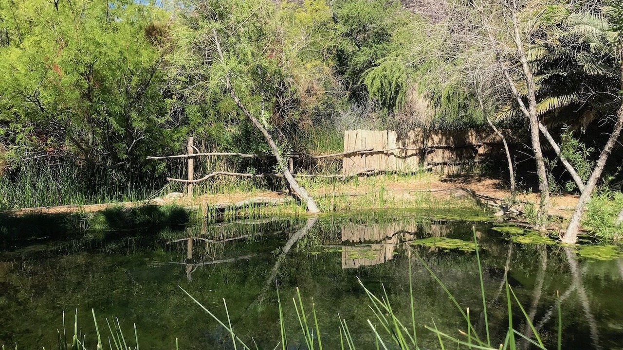 Photo of Others in Shoshone
