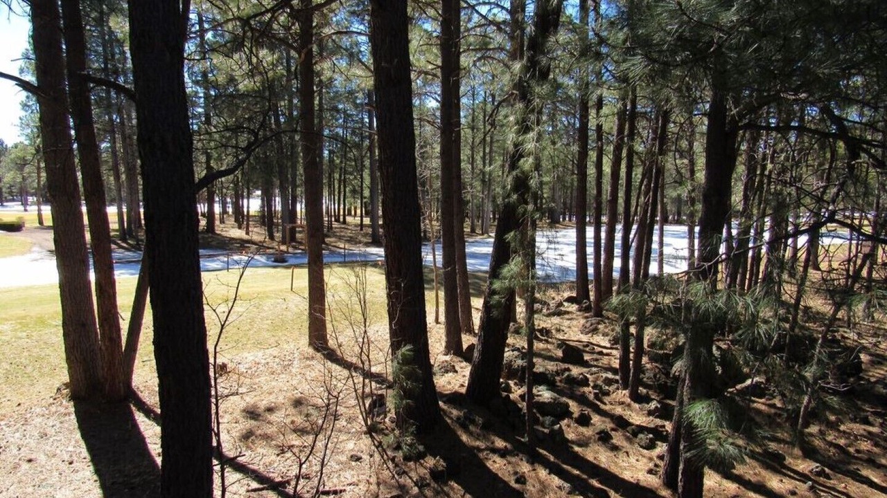 Photo of Outdoor in Pinetop