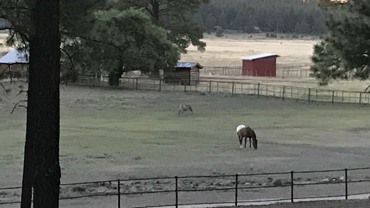 Photo of Others in Parks