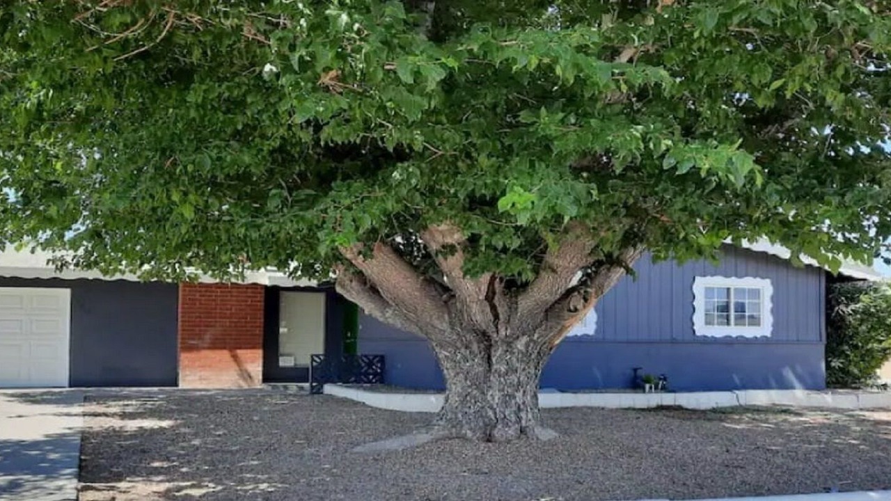 Photo of Outdoor in Rancho Oakey