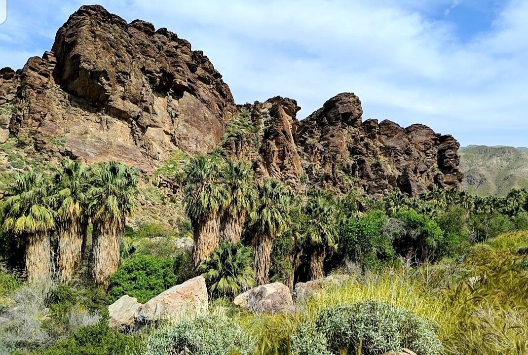 Photo of Outdoor in Canyon Corridor
