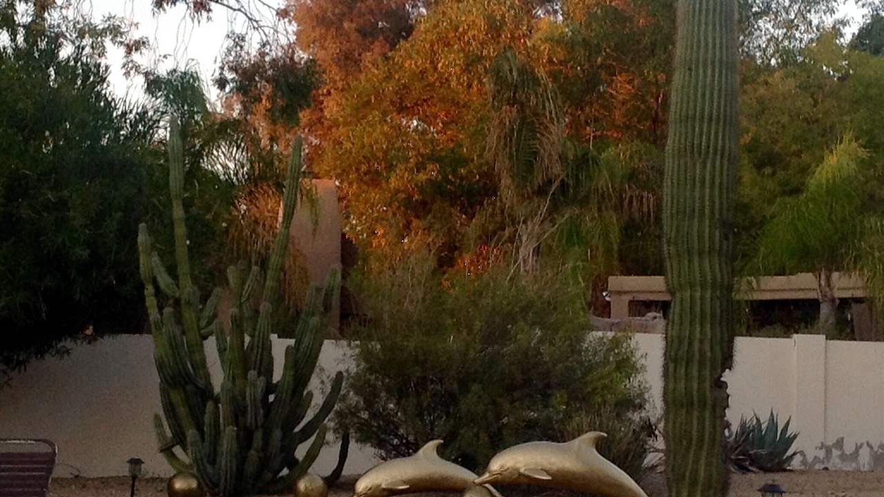 Photo of Outdoor in Scottsdale Foothills