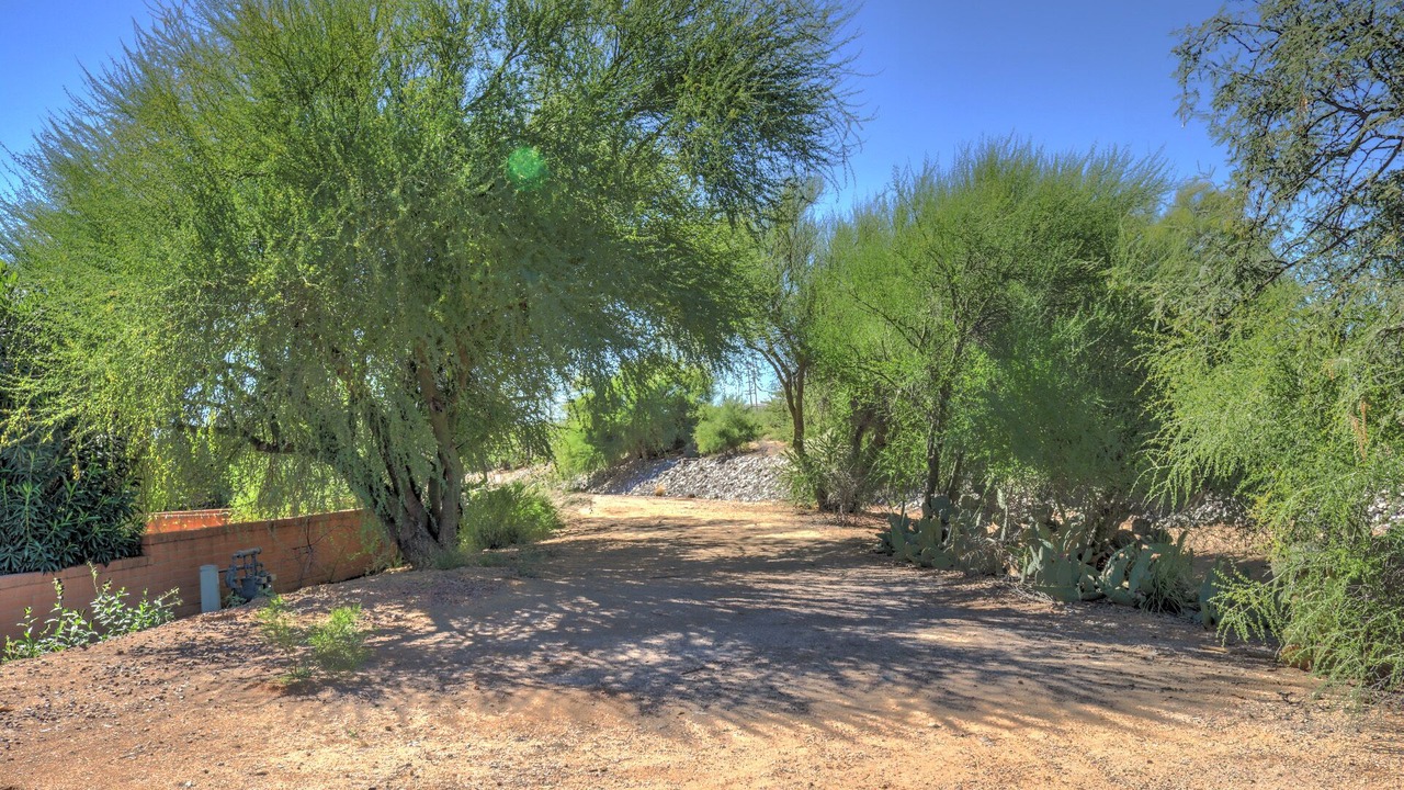 Photo of Others in Casa Paloma I