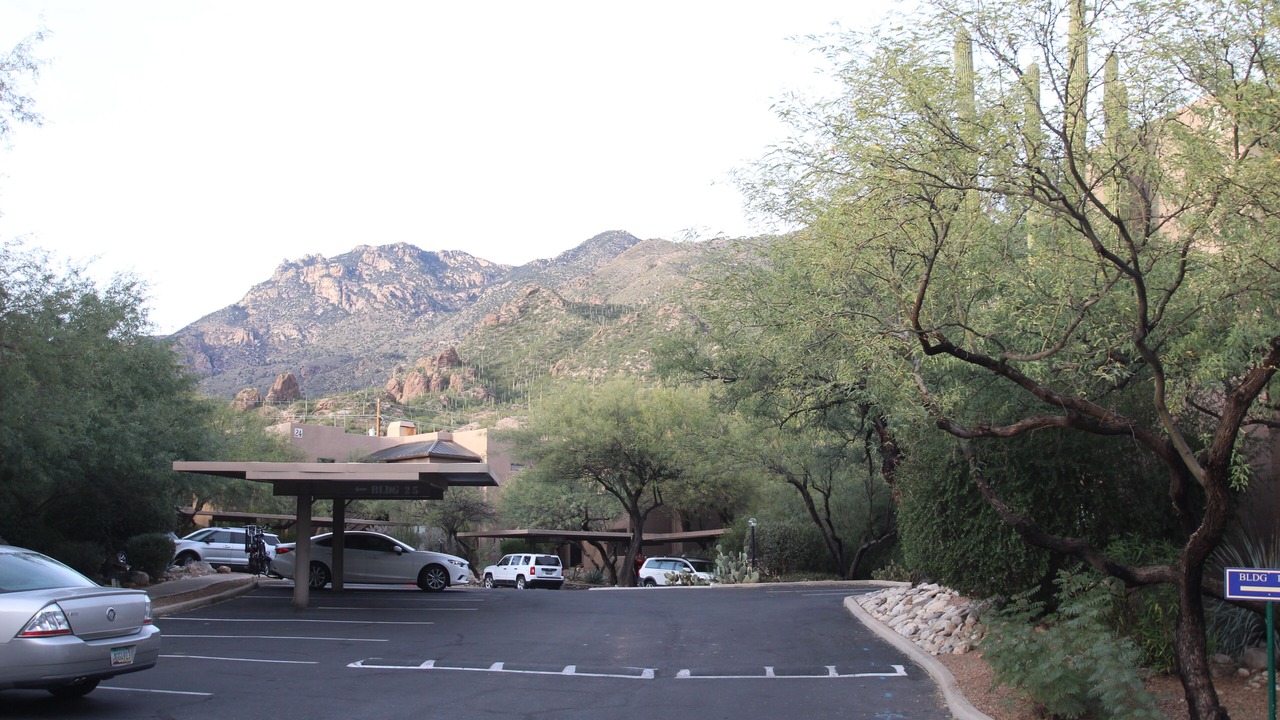 Photo of Others in Tucson