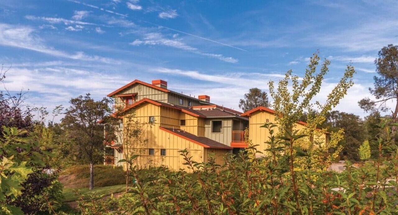 Photo of Outdoor in Angels Camp