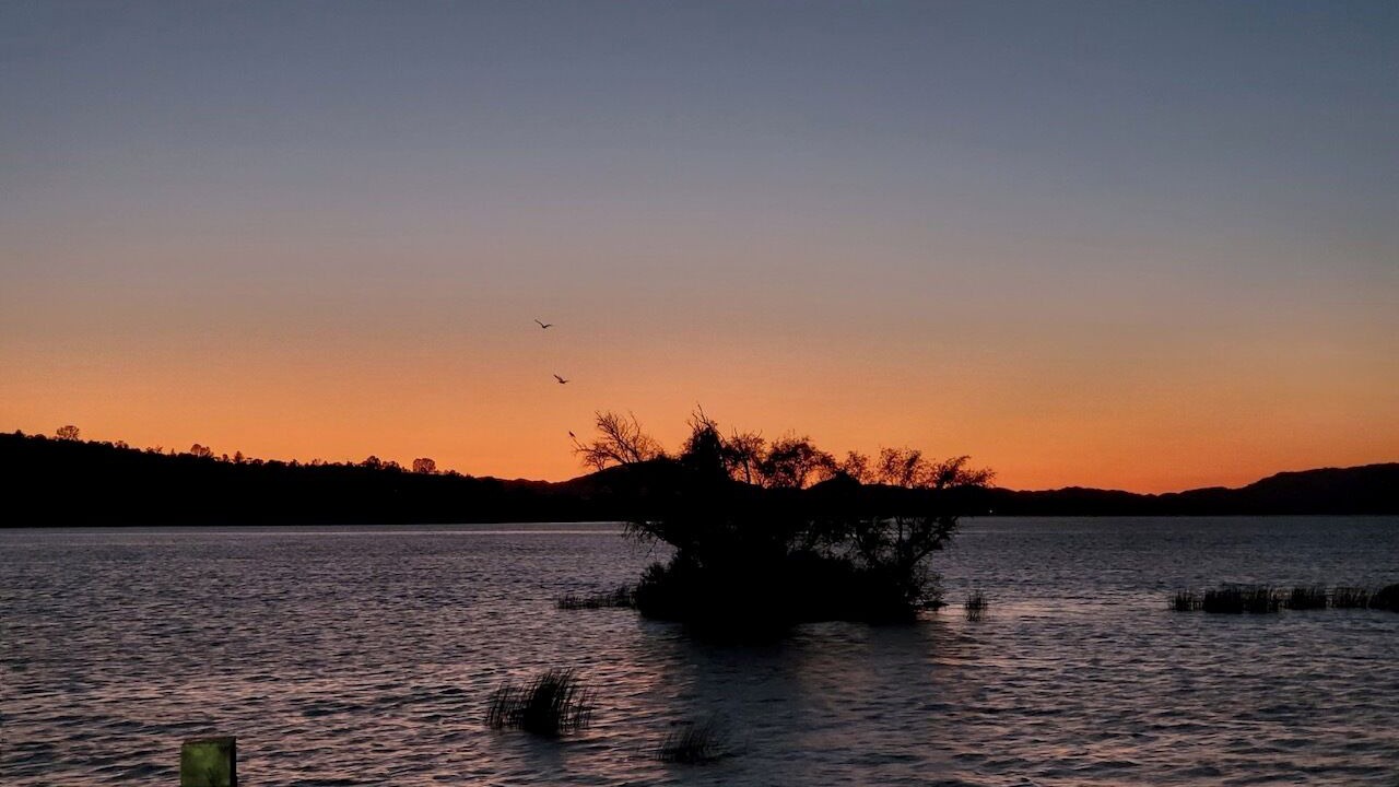 Photo of Others in Soda Bay