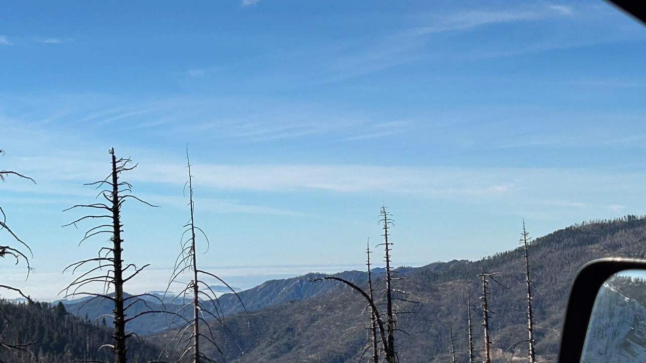 Photo of Others in Ponderosa