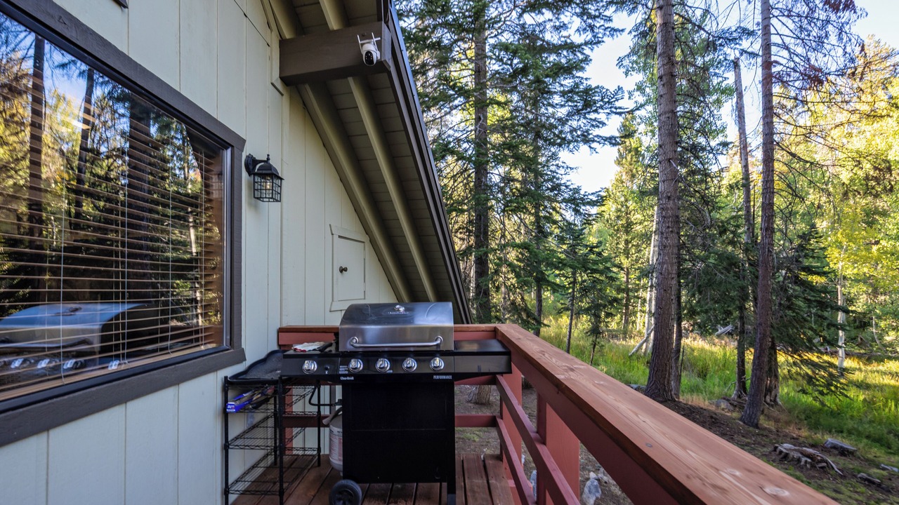 Photo of Outdoor in Ponderosa
