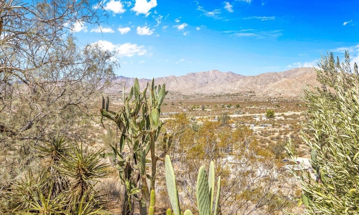 Photo of Others in Morongo Valley