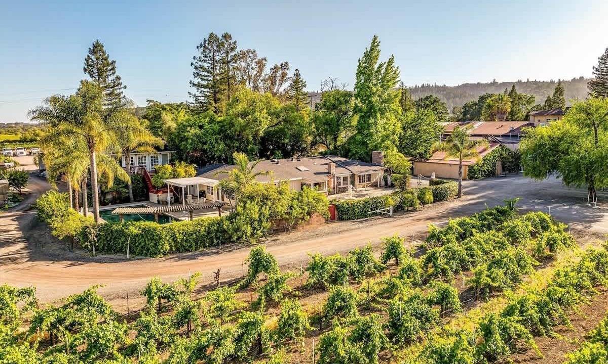 Photo of Others in Geyserville