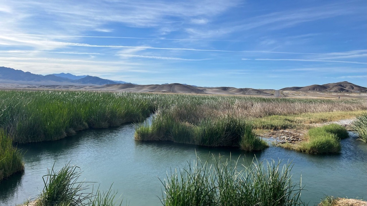 Photo of Others in Tecopa