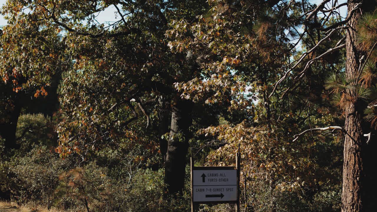 Photo of Others in Dunlap