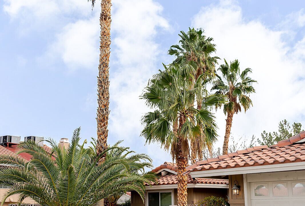 Photo of Outdoor in Canyon Gate