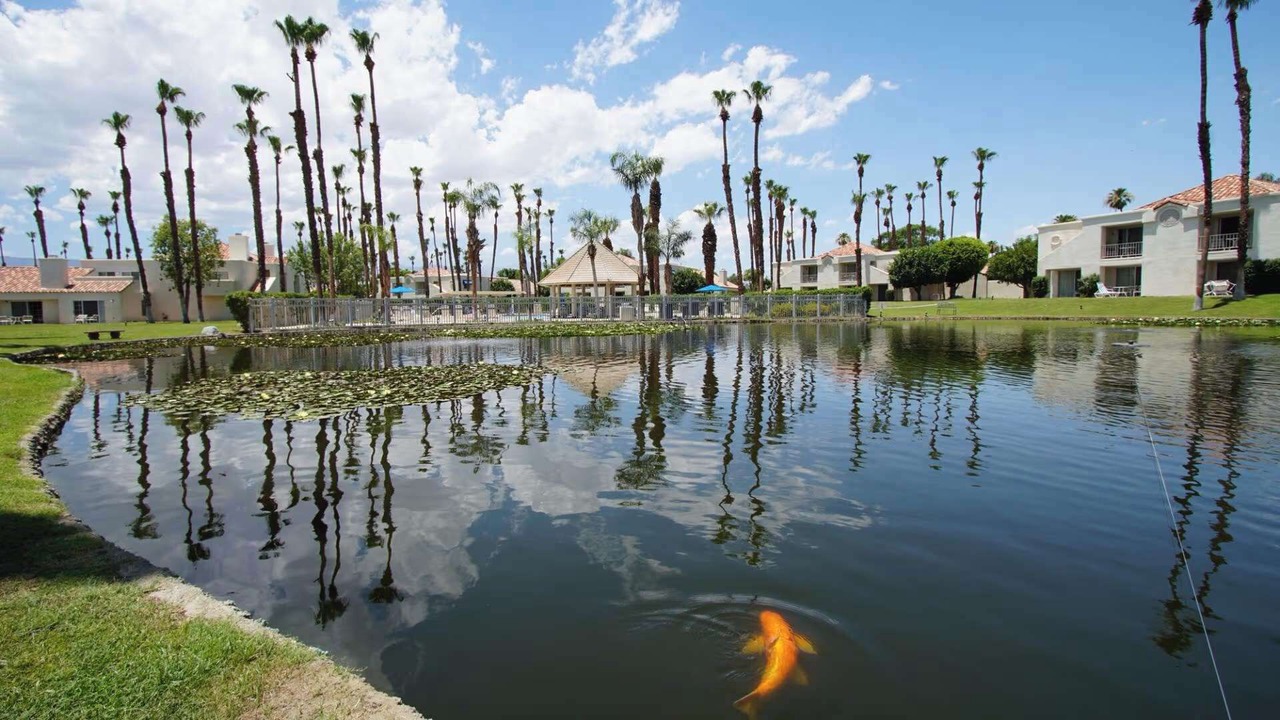 Photo of Outdoor in Palm Desert