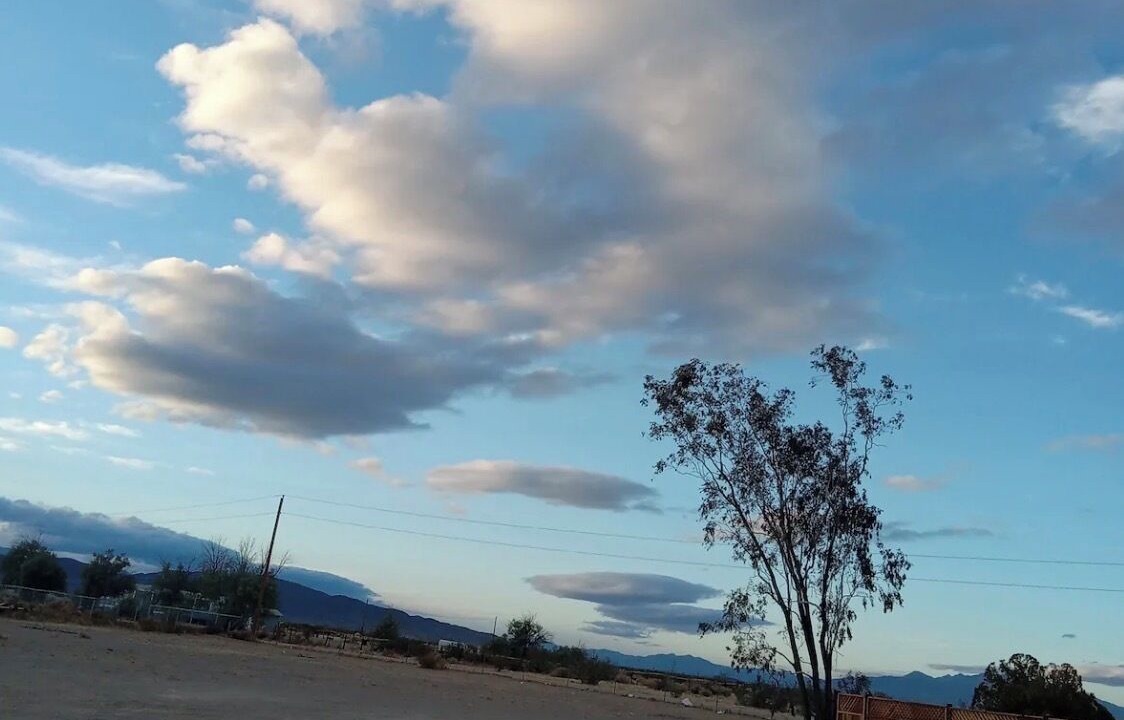 Photo of Others in Mojave Desert