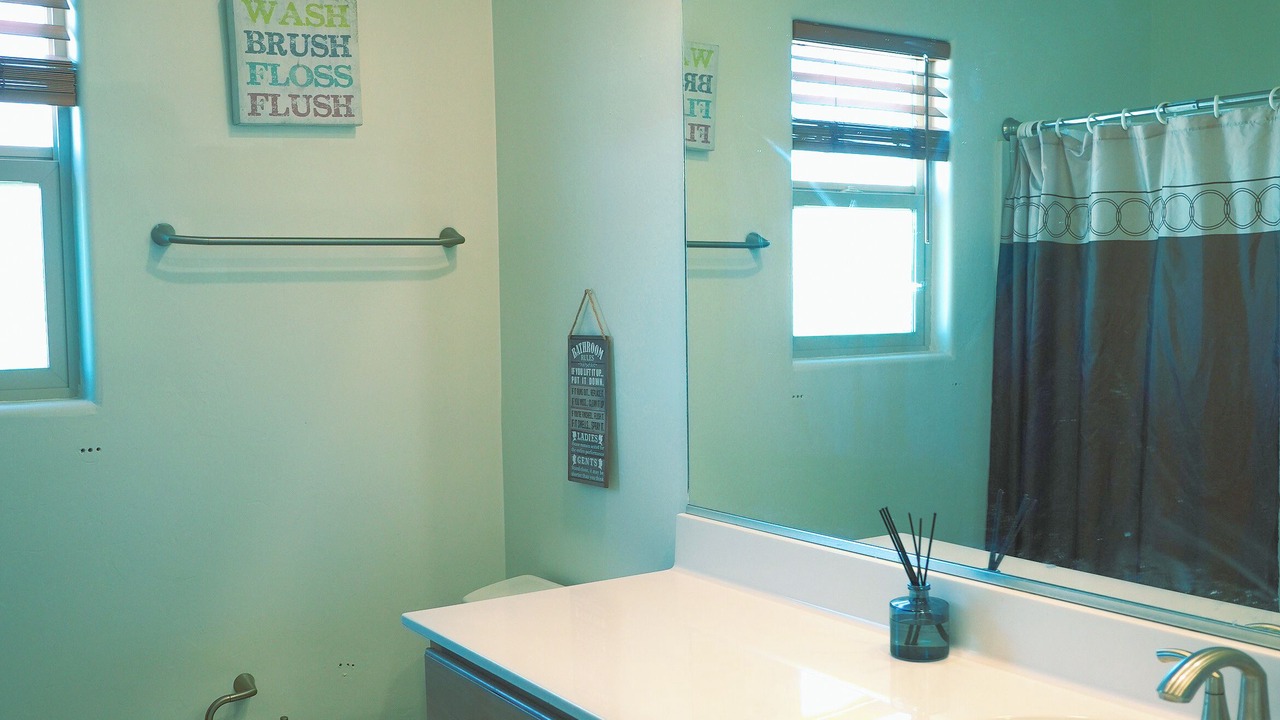 Photo of Bathroom in Coyote Corridor
